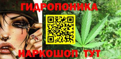 стафф Брянск