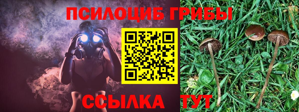 Псилоцибиновые грибы прущие грибы Вязьма