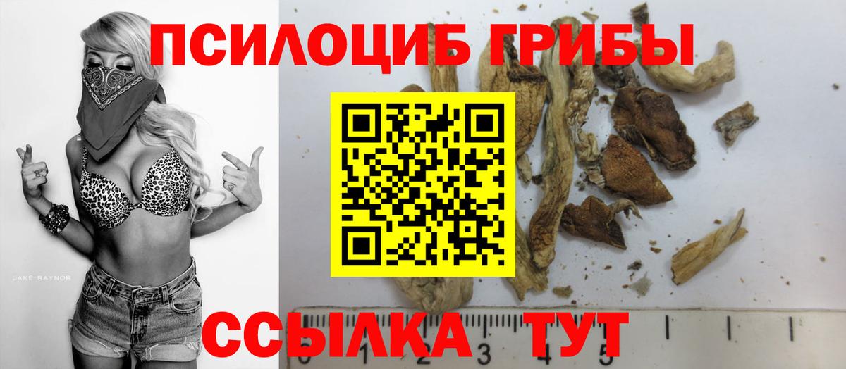 Вязьма  Псилоцибиновые грибы MAGIC MUSHROOMS  Вход с VPN 